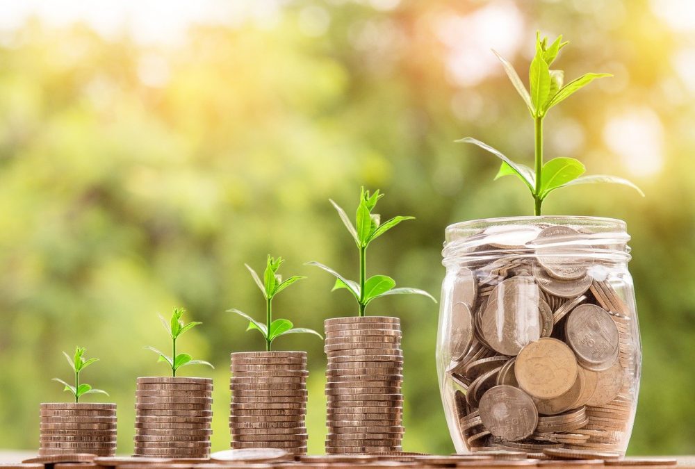 growing wealth slowly